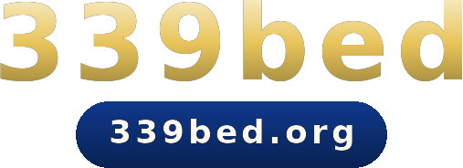 339bed logo